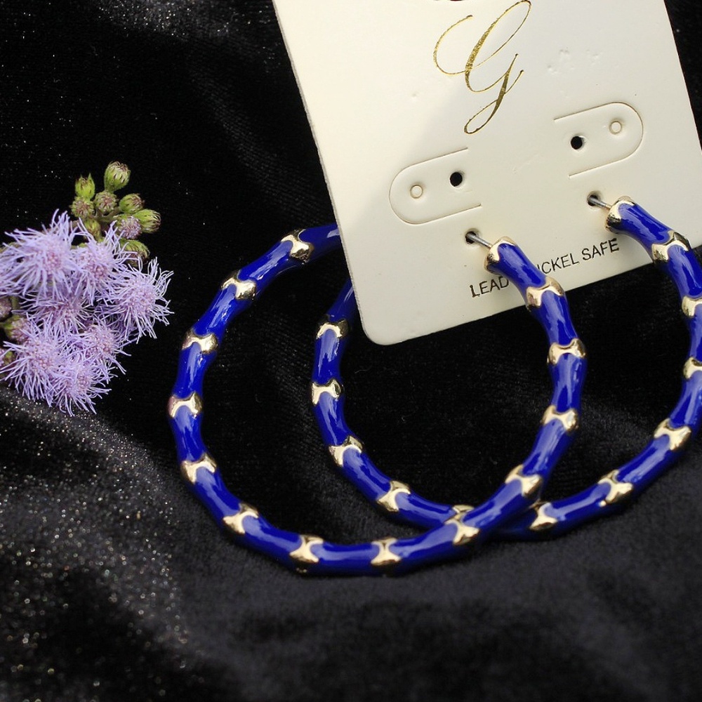 2 pairs of blue and purple earrings